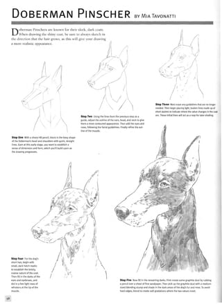 DOBERMAN PlNSCHER BY MIATAVONATTI
Doberman Pinschers are known for their sleek, dark coats.
When drawing the shiny coat, be sure to always sketch in
the direction that the hair grows, as this will give your drawing
a more realistic appearance.
Step Two Using the lines from the previous step as a
guide, adjust the outline of the ears, head, and neck to give
them a more contoured appearance. Then add the eyes and
nose, following the facial guidelines. Finally refine the out-
line of the muzzle.
Step Three Next erase any guidelines that are no longer
needed. Then begin placing light, broken lines made up of
short dashes to indicate where the value changes in the coat
are. These initial lines will act as a map for later shading.
Step One With a sharp HB pencil, block in the boxy shape
of the Doberman's head and shoulders with quick, straight
lines. Even at this early stage, you want to establish a
sense of dimension and form, which you'll build upon as
the drawing progresses.
/^ A
Step Four For the dog's
short hair, begin with
small, dark hatch marks
to establish the bristly,
coarse nature of the coat.
Then fill in the darks of the
eyes and eyebrows, and
dot in a few light rows of
whiskers at the tip of the
muzzle.
IT
W Step Five Now fill in the remaining darks. First create some graphite dust by rubbing
a pencil over a sheet of fine sandpaper. Then pickup the graphite dust with a medium-
sized blending stump and shade in the dark areas of the dog's fur and nose. To avoid
hard edges, blend to create soft gradations where the two values meet.
58
 