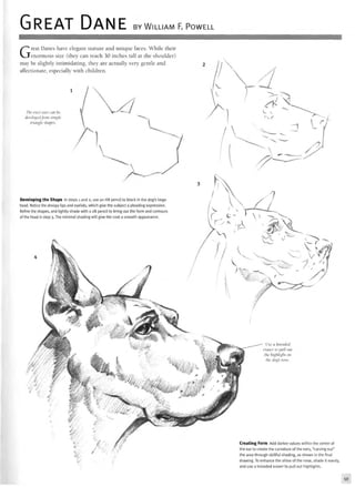 GREAT DANE BY WILLIAM F. POWELL
Great Danes have elegant stature and unique faces. While their
enormous size (they can reach 30 inches tall at the shoulder)
may be slightly intimidating, they are actually very gentle and
affectionate, especially with children.
The erect ears can be
developedfrom simple
triangle shapes.
Developing the Shape In steps 1 and 2, use an HB pencil to block in the dog's large
head. Notice the droopy lips and eyelids, which give the subject a pleading expression.
Refine the shapes, and lightly shade with a 2B pencil to bring out the form and contours
of the head in step 3. The minimal shading will give the coat a smooth appearance.
Use a kneaded
eraser to pull out
the highlight on
the dog's nose.
Creating Form Add darker values within the center of
the ear to create the curvature of the ears, "carving out"
the area through skillful shading, as shown in the final
drawing. To enhance the shine of the nose, shade it evenly,
and use a kneaded eraser to pull out highlights.
59
 