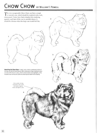 CHOW CHOW BY WILLIAM F. POWELL
The very recognizable Chow Chow can have a rough
or smooth coat, which should be rendered with a soft,
sharp pencil. Notice how finely detailed this rendering
appears; each hair of the coat is carefully drawn. It
should be obvious what this dog's coat would feel like.
Sketching the Chow Chow In steps 1 and 2, sketch a preliminary outline of
the dog, and add the facial features. With a sharp pencil, begin shading the dark
est areas within the fur in step 3. This fur texture shows many highlights, so the
kneaded eraser will also be useful for enhancing the realism of the drawing.
A jew strokes curving
toward the center of the
tail makes it appear
bushy and light in color.
66
 