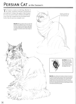PERSIAN CAT BY MIATAVONATTI
The Persian is a stocky cat with long, silky hair. It
has a large, round face with short, broad features
and small ears. To depict the quality of this Persians
fur, keep your pencil strokes uniform and deliberate.
Notice that this example has been developed much
further than the previous examples were.
Step One When you block in this cat, notice that
the eyes are two different shapes. This is because
the head is viewed at a three-quarter angle. Block
in the basic shape of the cat, making curved lines
to suggest its roundness and to show changes in
the form.
Flowing, curved lines are
used to indicate the cat's
form beneath the fur.
Eye Detail At this view,
the angle of the cat's right
eye is important; the pupil
remains perpendicular
and is partially covered by
the bridge of the nose.
Step Two Use uniform pencil strokes to indicate the layers of
fur around the head, chest, and back. Notice the way the pencil
strokes are used to refine the features. Use a sharp HB pencil
to shade the eye and to draw the fine lines of the nose and
whiskers. Next use 2B and 4B pencils to bring out the thick tex-
ture of the fur. Remember that the lines should always be drawn
in the direction that the hair grows.
 
