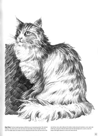 "^SRHP?*"- m •
Step Three The final rendering shows an effective use of contrasting values. The minimal
shading in the white areas on the cat's chest and side reflect where the light strikes the
coat. The middle values are shown in the fur along the left side of the cat's face and on the
cat's left ear. Use a 4B or 6B pencil for darker strokes along the backbone, neck, right side
of the face, and parts of the tail. Notice how the dark background is used to create the
shape of the light-colored fur on the cat's chest and tail.
71
 
