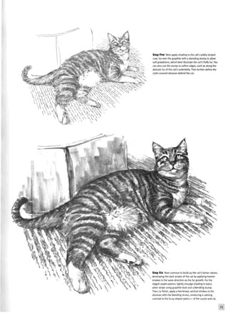 Step Five Next apply shading to the cat's subtly striped
coat. Go over the graphite with a blending stump to allow
soft gradations, which best illustrate the cat's fluffy fur. You
can also use the stump to soften edges, such as along the
delicate fur of the cat's underbelly. Then further define the
cloth-covered ottoman behind the cat.
Step Six Now continue to build up the cat's darker values,
developing the dark stripes of the cat by applying heavier
strokes in the same direction as the fur growth. For the
ridged carpet pattern, lightly smudge shading in every
other stripe using graphite dust and a blending stump.
Then, to finish, apply a few broad, vertical strokes to the
ottoman with the blending stump, producing a calming
contrast to the busy striped patterns of the carpet and cat.
 