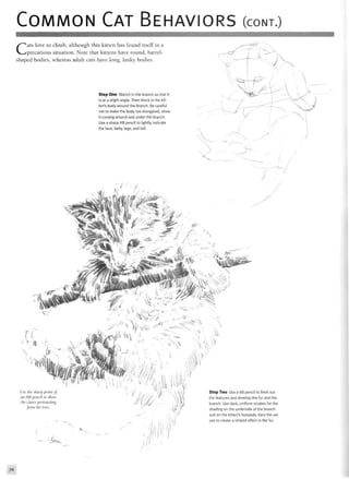 COMMON CAT BEHAVIORS (CONT.)
Cats love to climb, although this kitten has found itself in a
precarious situation. Note that kittens have round, barrel-
shaped bodies, whereas adult cats have long, lanky bodies.
Step One Sketch in the branch so that it
is at a slight angle. Then block in the kit-
ten's body around the branch. Be careful
not to make the body too elongated; show
it curving around and under the branch.
Use a sharp HB pencil to lightly indicate
the face, belly, legs, and tail.
;y/, ,
- ^
Js, V
^
Use the sharp point of
an HB pencil to show
the claws protracting
from the toes.
L
^ V
K
4 i'
ill
Step Two Use a 6B pencil to flesh out
the features and develop the fur and the
branch. Use dark, uniform strokes for the
shading on the underside of the branch
and on the kitten's footpads. Vary the val-
ues to create a striped effect in the fur.
76
 