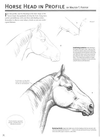 HORSE HEAD IN PROFILE BY WALTER T. FOSTER
For this profile, start by blocking in the basic shape of the
horse's head, then gradually develop the form, being more
careful and deliberate with your lines and shading strokes.
Remember to observe your subject closely so you can render
a good likeness.
Establishing Guidelines After blocking in
the shape of the head in step 1, take your time
to refine the outlines, being sure to emphasize
the protruding lip and the graceful curves of the
neck. Mark the major muscle areas around the
eye, above the cheek, and along the muzzle in
step 2. Then follow these guidelines to apply
varying values of shading on the face and neck,
using the side of a soft lead pencil.
For the mane, use long, thick
strokes with a chisel point or
the side of a soft lead pencil.
Don't be afraid to experiment
and fail—remember, there's no
substitute for practice!
y
I
80
Rendering Details Apply short, light strokes for the shading on the face and neck, with
a few thick, perpendicular lines for tUr
-uscles on the jaw and around the eye. Try blending
some areas with a paper stump for a softer effect.
 