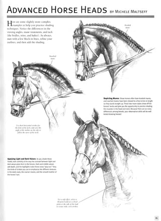 ADVANCED HORSE HEADS BY MlCHELE MALTSEFF
Here are some slightly more complex
examples to help you practice shading
techniques. Notice the differences in the
viewing angles, mane treatments, and tack
(the bridles, reins, and halter). As always,
start with a few block-in lines, refine your
outlines, and then add the shading.
Braided
mane
Depicting Manes Show horses often have braided manes,
and roached manes have been shaved to a few inches in length
so they stand straight up. These two mane styles show off the
horses' necks and give you the opportunity to practice shading
the muscles in the head and neck. Because there are so many
differences among breeds, your observation skills will be well
tested drawing horses!
Use short horizontal strokes for
thefront of the neck, and vary the
angle of the strokes on the side to
follow the curve of the neck.
Applying Light and Dark Values As you shade these
heads, look carefully at the way the contrast between light and
dark values gives form to the horses. Dark and middle values
add depth, and the highlights make those areas "pop out." Vary
the kinds of strokes you use to emphasize the different textures
in the sleek coats, the coarser manes, and the smooth leather of
the horses'tack.
For a soft effect, select a
6B pencil and use a chisel
point or the side of the lead
to create wide, even strokes.
81
 
