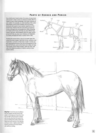P A R T S OF H O R S E S A N D P O N I E S
You certainly don't need to learn the names of every bone
and muscle in order to draw an animal accurately. But it is
helpful to have a little knowledge of the basic anatomy of
your subject. For example, an understanding of the under-
lying shapes of the horse's skeletal and musculature
structures will result in more realistic depictions of the
horse's form. (Ponies have the same basic structure as
horses, although sizes and proportions differ.) Knowing
the shapes of the bones will help you draw lifelike legs,
hooves, and faces. And familiarity with the major muscle
groups will help you place your shadows and highlights
accurately, bringing the horse or pony's form to life.
Drawing the horse's body is easy if you break down the
animal into basic shapes. Start with circles, cylinders, and
trapezoids—as shown on the horse at right—to help you
get a good general sense of the size and proportion of the
parts of the horse, such as the head, neck, belly, and legs.
Then simply connect these shapes, refine the lines, and
add a few details to produce a realistic outline of your
equine subject.
Poll
Forehead
Dock
Muzzle
-Gaskin
— Hock
Step Four Ground the pony by adding a
few cast shadows and faint lines for the
stable in the background. Keep these lines
thin and light so that they don't compete
with the pony. Now finish the body of the
pony by shading with parallel strokes that
follow the muscle structure. This hatching
technique creates a slightly stylized effect.
Finish by touching up the facial details
with additional shading.
 