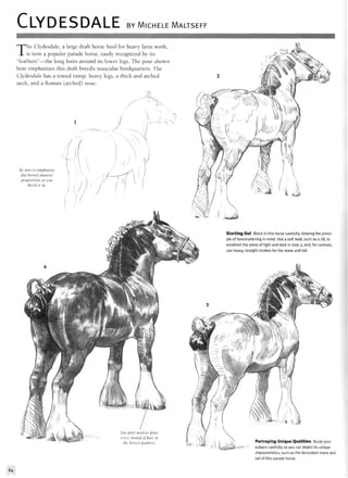CLYDESDALE BY MlCHELE MALTSEFF
The Clydesdale, a large draft horse bred for heavy farm work,
is now a popular parade horse, easily recognized by its
"feathers"—the long hairs around its lower legs. The pose shown
here emphasizes this draft breed's muscular hindquarters. The
Clydesdale has a round rump, heavy legs, a thick and arched
neck, and a Roman (arched) nose.
Be sure to emphasize
this horse's massive
proportions as you
bloeh it in.
Portraying Unique Qualities Study your
subject carefully so you can depict its unique
characteristics, such as the decorated mane and
tail of this parade horse.
84
 