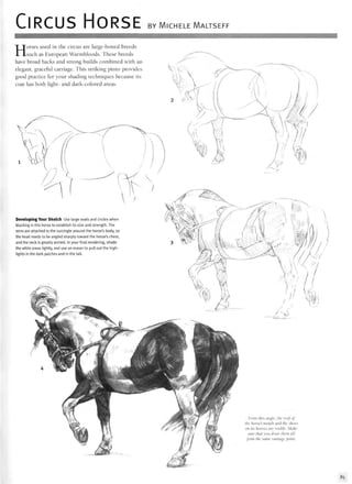 CIRCUS HORSE BY MlCHELE MALTSEFF
Horses used in the circus are large-boned breeds
such as European Warmbloods. These breeds
have broad backs and strong builds combined with an
elegant, graceful carriage. This striking pinto provides
good practice for your shading techniques because its
coat has both light- and dark-colored areas.
Developing Your Sketch Use large ovals and circles when
blocking in this horse to establish its size and strength. The
reins are attached to the surcingle around the horse's body, so
the head needs to be angled sharply toward the horse's chest,
and the neck is greatly arched. In your final rendering, shade
the white areas lightly, and use an eraser to pull out the high-
lights in the dark patches and in the tail.
From [his angle, the roof of
the horse's mouth and the shoes
on its hooves are visible. Make
sure that you draw them all
from the same vantage point.
85
 