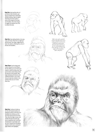 Step One Adult gorillas often sit
and observe their onlookers, giv-
ing you enough time to make fairly
detailed drawings. Begin by lightly
sketching some loose ovals to
work out the shapes of the head
and shoulders. Then draw shapes
to suggest the features and a line
to indicate the brow.
Step Two Start adding details to the eyes
nose, and mouth. Place the ear, aligning it
with the brow. Then begin suggesting the
basic hair patterns, following the curves of
the face and shoulders.
(
Make some quick, gestural,
contour drawings of an active.
young gorilla to work out its
proportions and postures.
Pay particular attention to
the size relationships of the
arms and legs, as well as the
angles of the shoulders,
spine, and pelvis.
Step Three Use the sharp point
of your H B pencil to start filling in
the hair, lifting up as you finish each
stroke to create the wispy ends. Your
pencil strokes should always follow
the direction of hair growth. Now
begin developing the features with
shading techniques. If you notice
that you made any mistakes in the
previous steps, you can correct
them here.
Step Four Continue to build up
the hair with tapered strokes, fol-
lowing the contours of the face and
shoulders but stroking up at the
top of the head and over the brow.
Then refine the ridges, bumps, and
wrinkles that give this great ape
such an expressive face, and finish
developing the surprisingly small
ear. Use a 2B pencil for the darkest
shadows and the eyes, leaving the
paper white for the highlights.
87
 