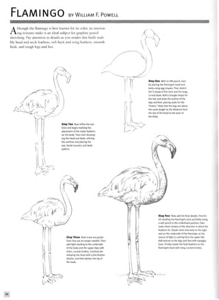 FLAMINGO BY WILLIAM F. POWELL
Although the flamingo is best known for its color, its interest
ing textures make it an ideal subject for graphite pencil
sketching. Pay attention to details as you render this bird's stub-
bly head and neck feathers, soft back and wing feathers, smooth
beak, and tough legs and feet.
Step Two Now refine the out-
lines and begin marking the
placement of the major feathers
on the body. Then start develop-
ing the head and beak, refining
the outlines and placing the
eye, facial muscles, and beak
pattern.
Step One With an HB pencil, start
by placing the flamingo's head and
body using egg shapes. Then sketch
the S shape of the neck and the large,
curved beak. Add a triangle shape for
the tail, and draw the outline of the
legs and feet, placing ovals for the
"knees." Note that the legs are about
the same length as the distance from
the top of the head to the base of
the body.
Step Three Next erase any guide-
ines that are no longer needed. Then
add light shading to the underside
of the body and the upper legs with
short, curved strokes. Continue de-
veloping the head with a few feather
details, and then darken the tip of
the beak.
Step Four Now add the final details. First fin-
ish shading the flamingo's neck and belly using
a soft pencil in the underhand position; then
make short strokes in the direction in which the
feathers lie. Shade more intensely on the right
and on the underside of the flamingo, as the
source of light is coming from the upper left.
Add texture to the legs and feet with squiggly
lines. Finally create the final feathers on the
flamingo's back with long, curved strokes.
88
 