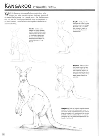 KANGAROO BY WILLIAM F. POWELL
With the kangaroo, it's especially important to draw what
you see, not what you expect to see. Study the features of
the animal for beginning. For example, notice that the kangaroo's
ears, tail, and feet are disproportionately large in comparison to
its other features. Attention to detail will produce a more accu-
rate final drawing.
Step Two Next begin to refine
and darken the outlines, creating
smoother contours and adding a
few details to the ears and back
feet. Also start to suggest the
short hair with a few strokes
along the rump.
90
 