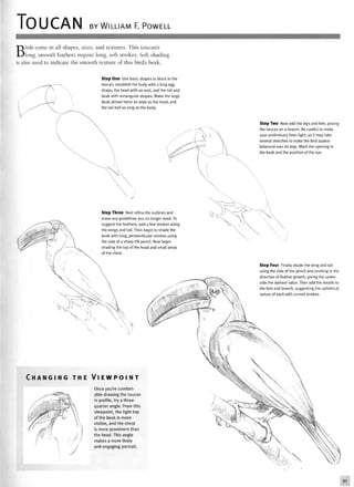 TOUCAN BY WILLIAM F. POWELL
Birds come in all shapes, sizes, and textures. This toucan's
long, smooth feathers require long, soft strokes. Soft shading
is also used to indicate the smooth texture of this bird's beak.
Step One Use basic shapes to block in the
toucan; establish the body with a long egg
shape, the head with an oval, and the tail and
beak with rectangular shapes. Make the large
beak almost twice as wide as the head, and
the tail half as long as the body.
Step Three Next refine the outlines and
erase any guidelines you no longer need. To
suggest the feathers, add a few strokes along
the wings and tail. Then begin to shade the
beak with long, perpendicular strokes using
the side of a sharp HB pencil. Now begin
top of the head and small areas
Step Two Now add the legs and feet, posing
the toucan on a branch. Be careful to make
your preliminary lines light, as it may take
several sketches to make the bird appear
balanced over its legs. Mark the opening in
the beak and the position of the eye.
Step Four Finally shade the wing and tail
using the side of the pencil and stroking in the
direction of feather growth, giving the under-
side the darkest value. Then add the details to
the feet and branch, suggesting the cylindrical
nature of each with curved strokes.
C H A N G I N G T H E V I E W P O I N T
Once you're comfort-
able drawing the toucan
in profile, try a three-
quarter angle. From this
viewpoint, the light top
of the beak is more
visible, and the chest
is more prominent than
the head. This angle
makes a more lively
and engaging portrait.
91
 