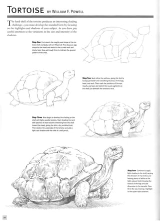 TORTOISE BY WILLIAM F. POWELL
The hard shell of the tortoise produces an interesting shading
challenge—you must develop the rounded form by focusing
on the highlights and shadows of your subject. As you draw, pay
careful attention to the variations in the size and intensity of the
shadows.
Step One First sketch the roughly oval shape of the tor-
toise shell and body with an HB pencil. Then draw an egg
shape for the head and sketch in the curved neck and
stocky legs. Now add rough lines to indicate the general
pattern of the shell.
Step Three Now begin to develop the shading on the
shell with light, parallel strokes. Start shading the neck
with patches of short strokes stretching from the shell
toward the head, giving the skin a dry, wrinkled look.
Then darken the underside of the tortoise and add a
light cast shadow with the side of a soft pencil.
Step Two Next refine the outlines, giving the shell a
bumpy perimeter and smoothing the lines of the legs,
head, and neck. Then mark the positions of the eye,
mouth, and toes and sketch the round segments on
the shell just beneath the tortoise's neck.
'C
'--«£
Step Four Continue to apply
light shading to the shell, varying
the direction of my strokes and
leaving plenty of white on the
light-colored shell. Develop the
texture of the legs and add
dimension to the toenails. Then
fill in the eye, leaving a highlight
in the upper-right quadrant.
92
 