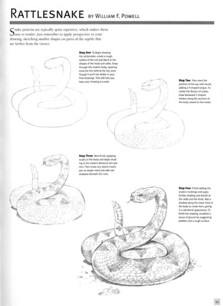 RATTLESNAKE BY WILLIAM F. POWELL
Snake patterns are typically quite repetitive, which makes them
easy to render. Just remember to apply perspective to your
drawing, sketching smaller shapes on parts of the reptile that
are farther from the viewer.
Step One To begin drawing
the rattlesnake, create a rough
outline of the coil and block in the
shapes of the head and rattle. Draw
through the snake's body, meaning
draw the line behind the tail, even
though it won't be visible in your
final drawings. This will help you
keep your drawing accurate. Step Two Then mark the
position of the eye and mouth,
adding a Y-shaped tongue. To
create the illusion of scales,
draw backward C-shaped
strokes along the sections of
the body closest to the viewer.
Step Three Next finish applying
scales to the body and begin shad-
ing in the snake's diamond skin pat-
tern. Then erase any sketch marks
you no longer need and add cast
shadows beneath the coils.
m
Step Four Finish adding the
snake's markings and apply
further shading and details to
the rattle and the head. Add a
shadow along the lower third of
the body to create form, giving
it a cylindrical appearance. To
finish the drawing, establish a
sense of ground by suggesting
pebbles and a rough surface.
 