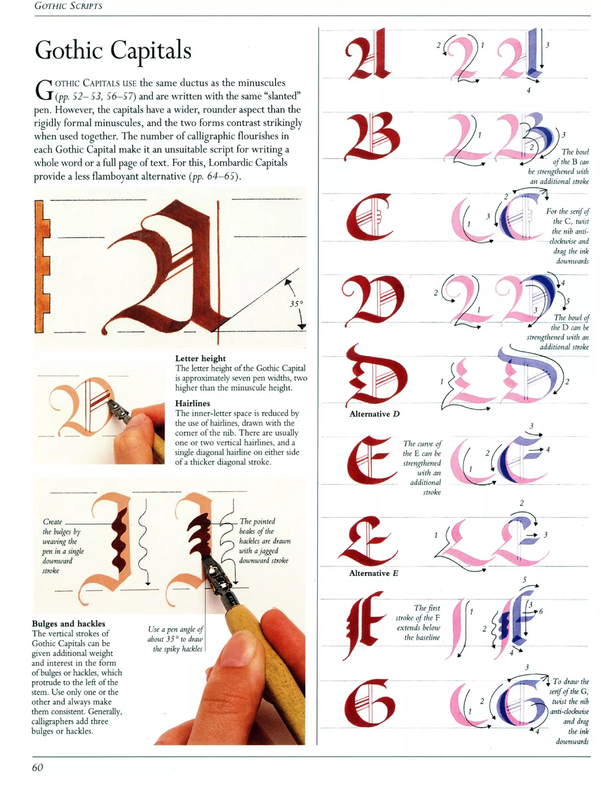 The art of calligraphy | PDF