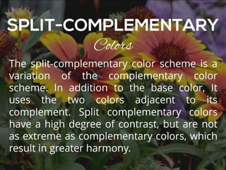 The Art of Color Coordination | PDF
