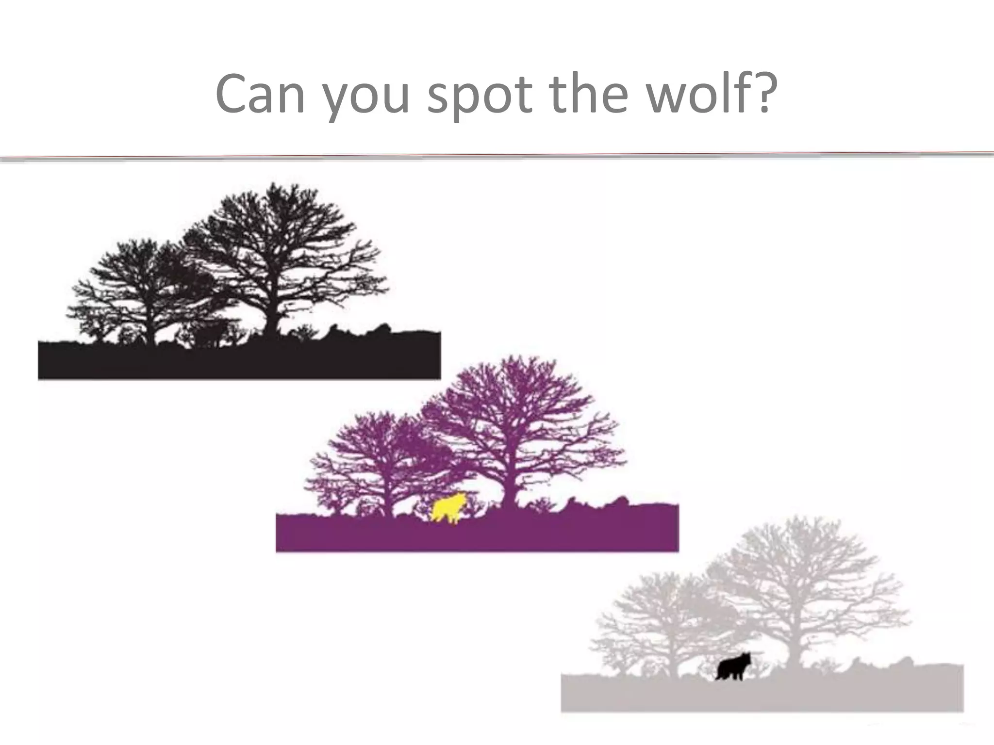Can you spot the wolf?
 