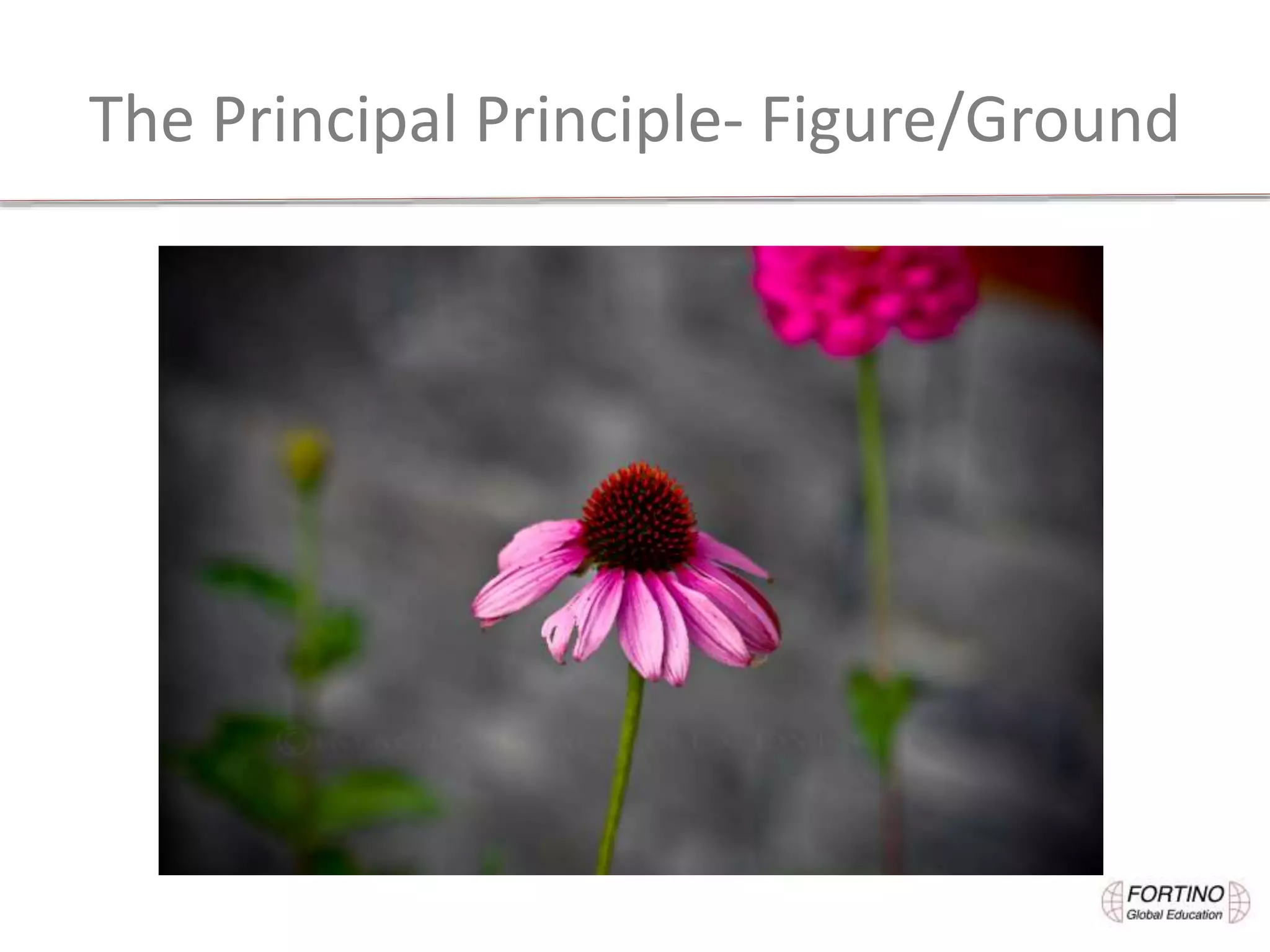 The Principal Principle- Figure/Ground
 