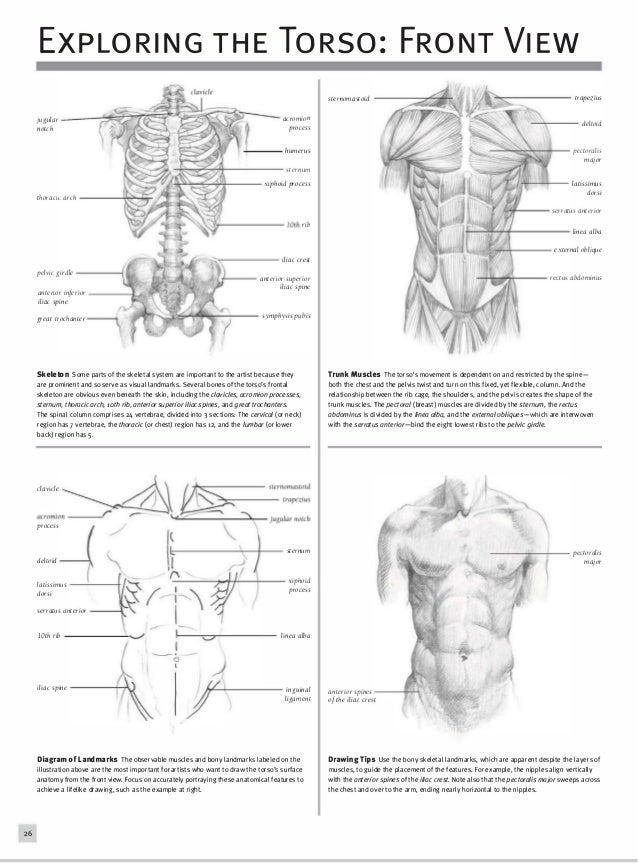 The art of drawing people