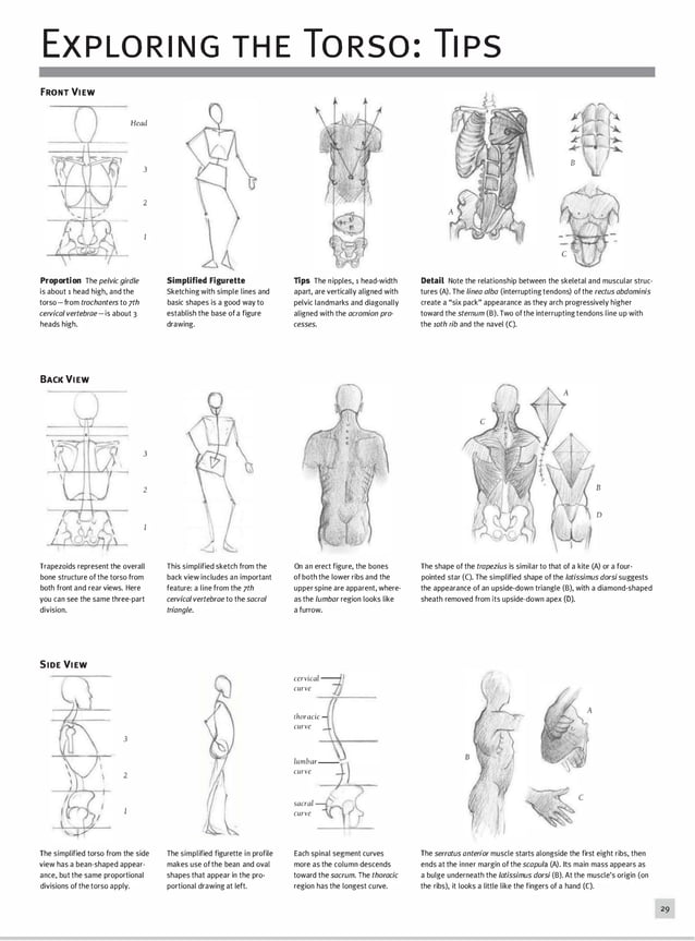 The Art of Drawing People | PDF