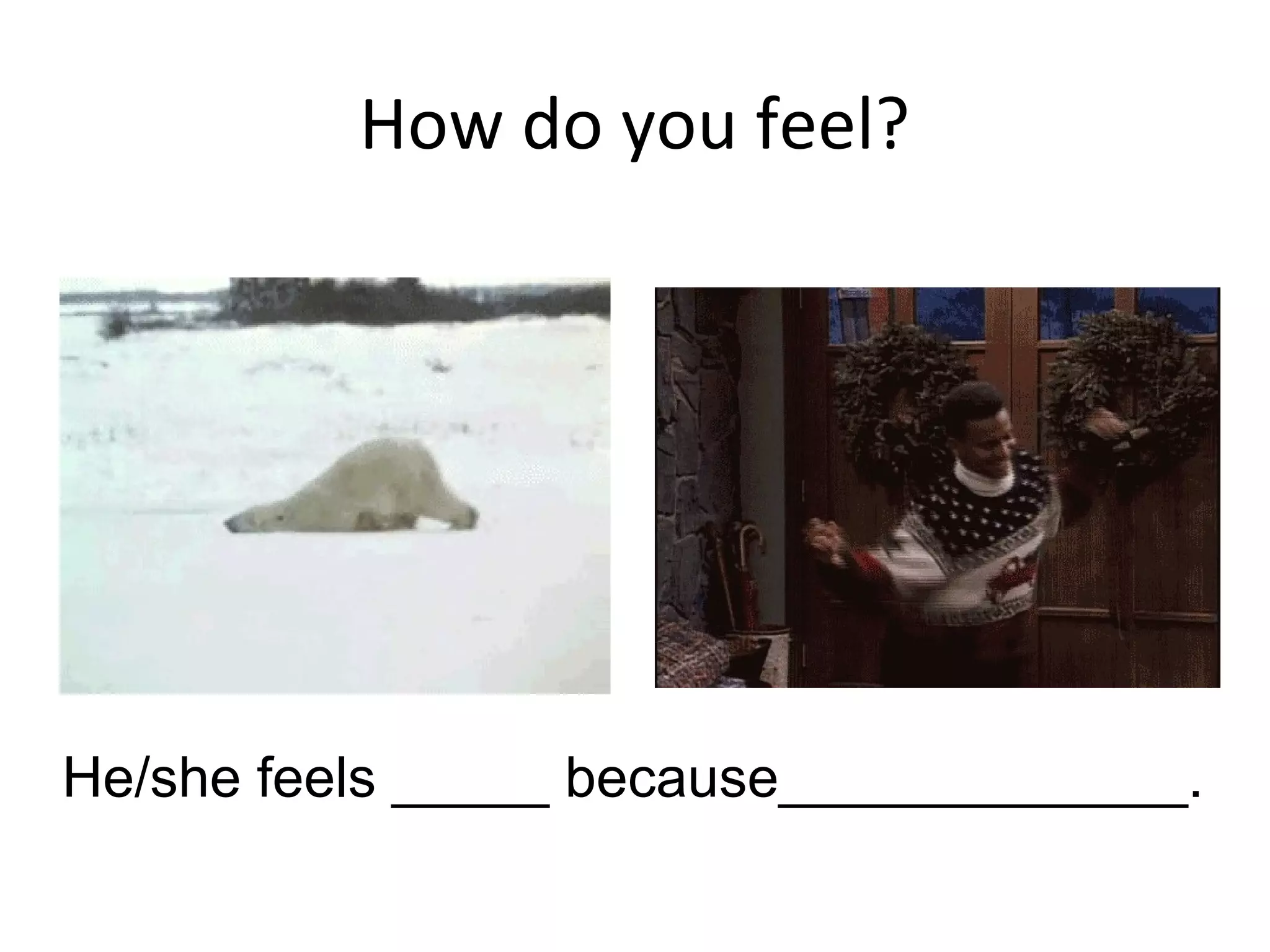 How do you feel?




He/she feels _____ because_____________.
 