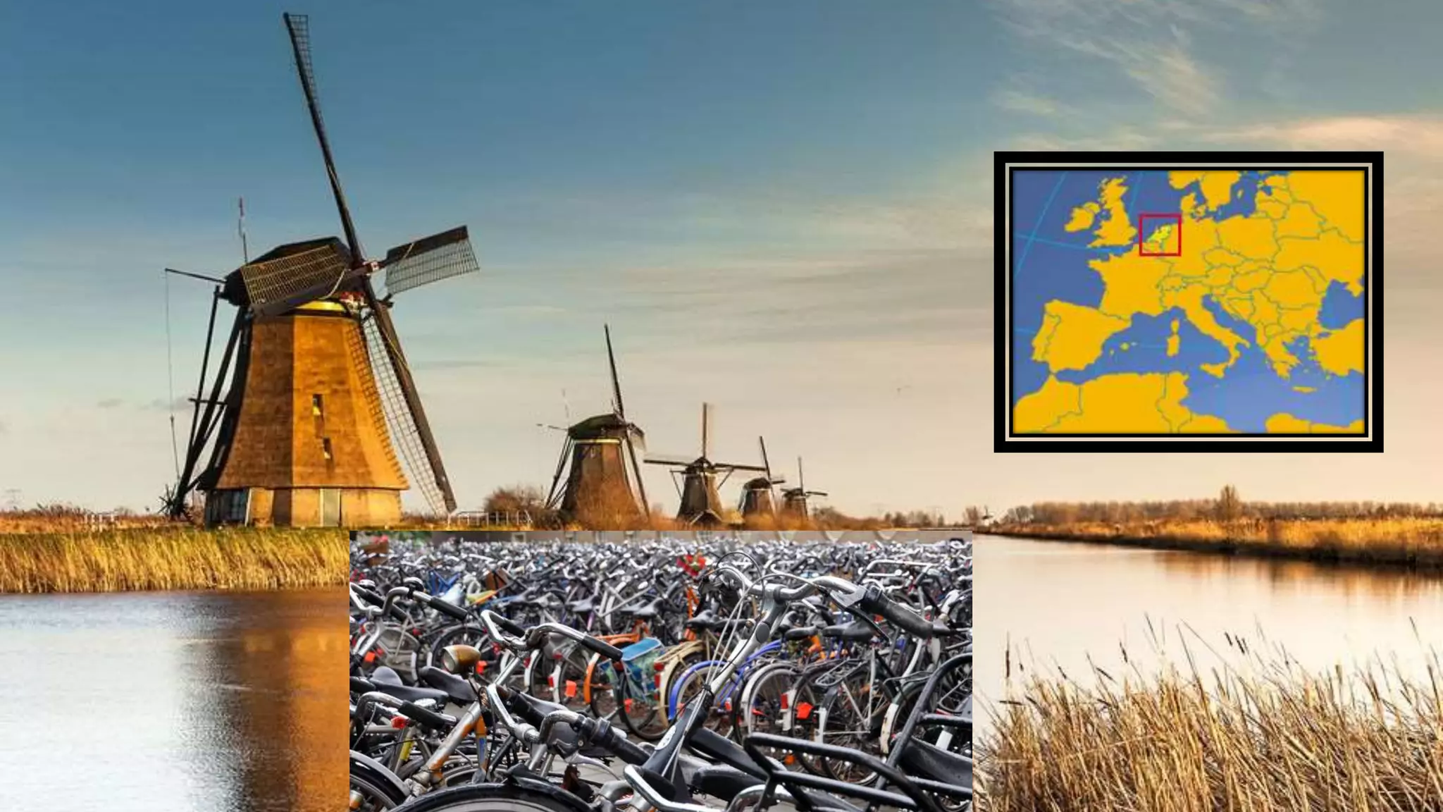 From The Netherlands
50 Shades of Data 5
 