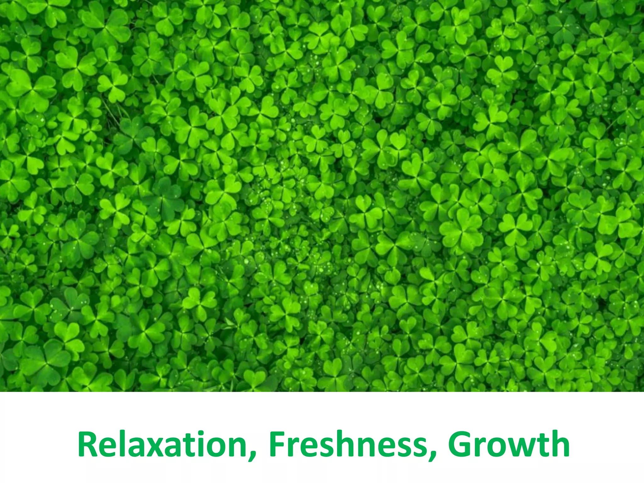 Relaxation, Freshness, Growth
 