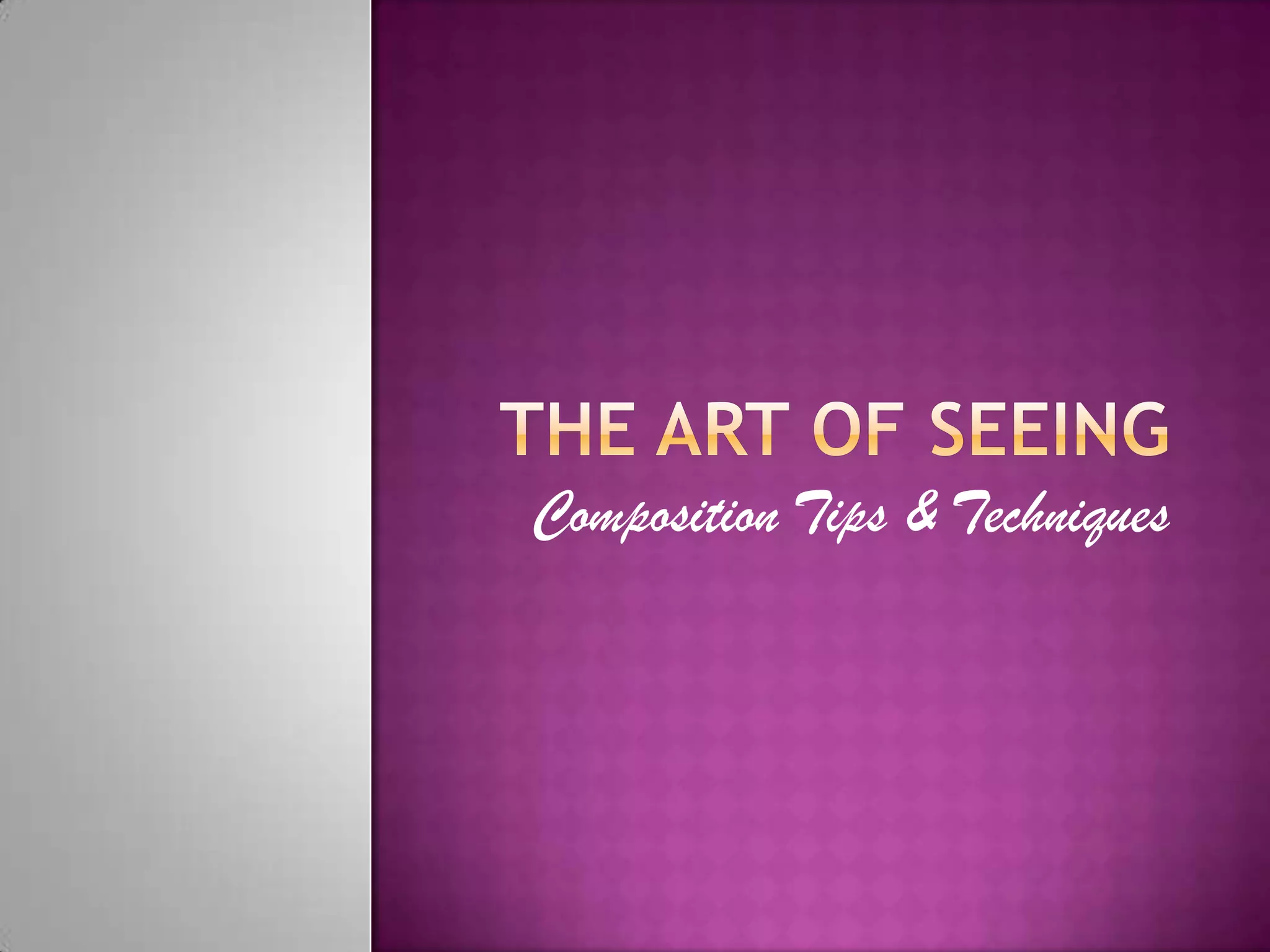 The Art of seeingComposition Tips & Techniques