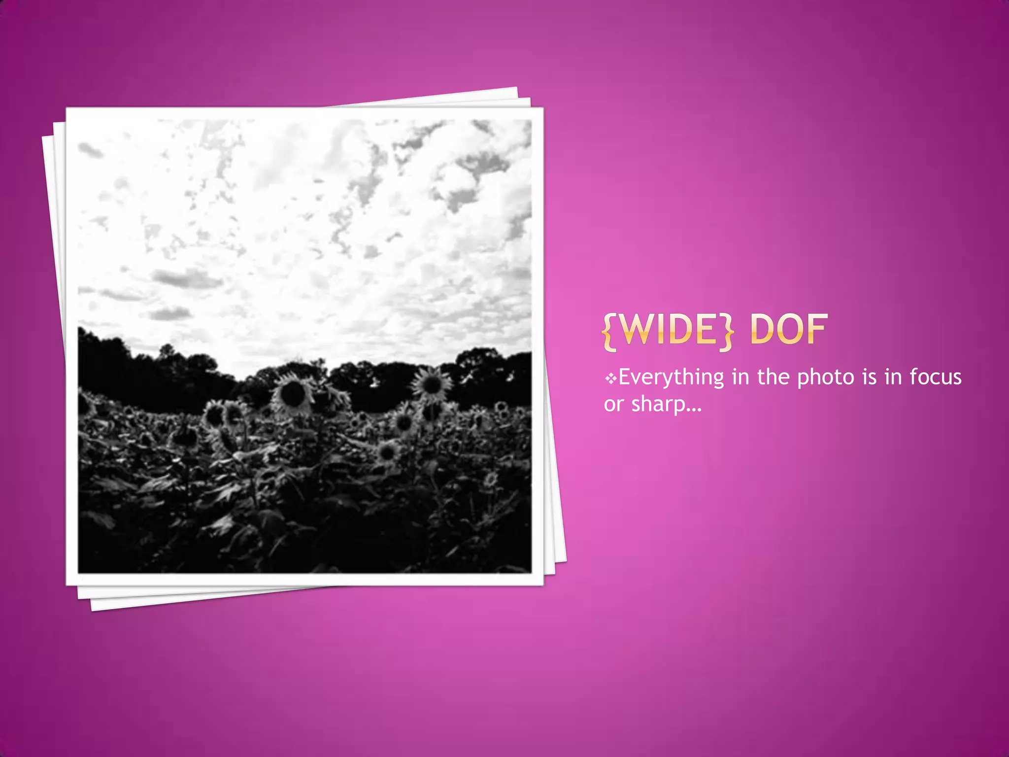 Tilt your camera up or down{Express} yourself“A great photograph is a full expression of what one feels about what is being photographed in the deepest sense, and is, thereby, a true expression of what one feels about life in its entirety.”                                          ~Ansel Adams