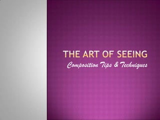 The Art of seeing,[object Object],Composition Tips & Techniques,[object Object]