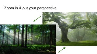 Zoom in & out your perspective