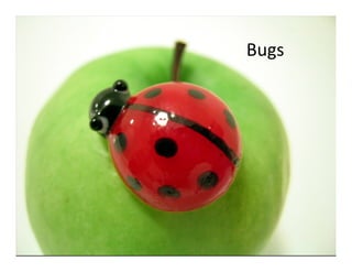 Bugs
 