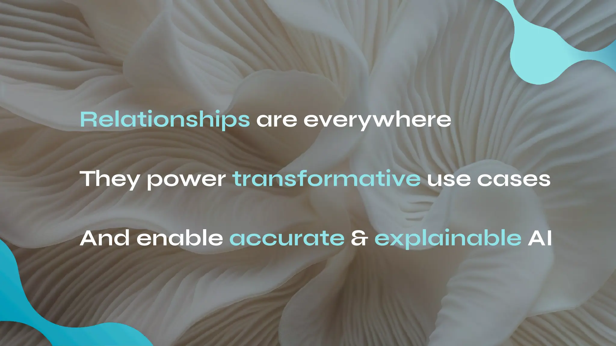 Relationships are everywhere
And enable accurate & explainable AI
They power transformative use cases
 