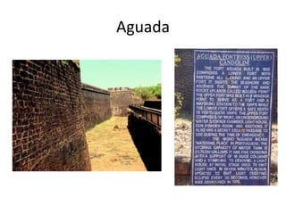 The reason was that George Washington remains the only President to be elected unanimously. There was a faction in the party which strongly believed that distinction to remain only with George Washington.Plumer actually voted for Adams because he thought Monroe was a mediocre president and that Adams would be a better one.