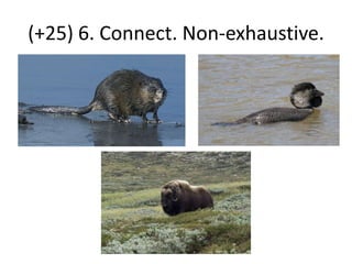 THEMEeeeeeeNon-ent related.