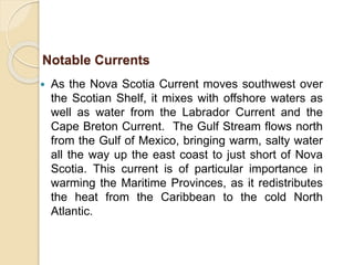  As the Nova Scotia Current moves southwest over
the Scotian Shelf, it mixes with offshore waters as
well as water from the Labrador Current and the
Cape Breton Current. The Gulf Stream flows north
from the Gulf of Mexico, bringing warm, salty water
all the way up the east coast to just short of Nova
Scotia. This current is of particular importance in
warming the Maritime Provinces, as it redistributes
the heat from the Caribbean to the cold North
Atlantic.
Notable Currents
 