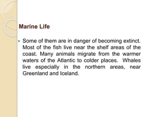  Some of them are in danger of becoming extinct.
Most of the fish live near the shelf areas of the
coast. Many animals migrate from the warmer
waters of the Atlantic to colder places. Whales
live especially in the northern areas, near
Greenland and Iceland.
Marine Life
 