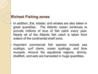  In addition, Eel, lobster, and whales are also taken in
great quantities. The Atlantic ocean continues to
provide millions of tons of fish catch every year.
Nearly all of the Atlantic fish catch is taken from
waters of the continental shelf zone.
 Important commercial fish species include sea
scallops, surf clams, ocean quahogs, and blue
mussels. Around the equatorial regions, shrimp,
shellfish, and eels are harvested in huge quantities.
Richest Fishing zones
 