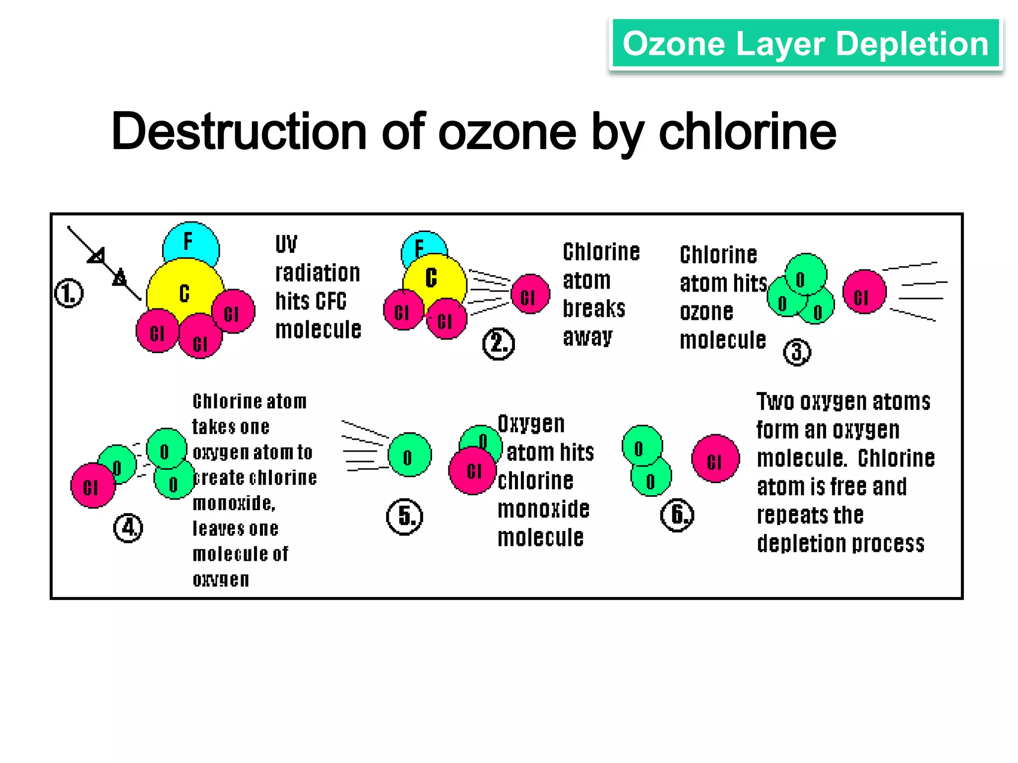Ozone Layer Depletion 
Destruction of ozone by chlorine 
 