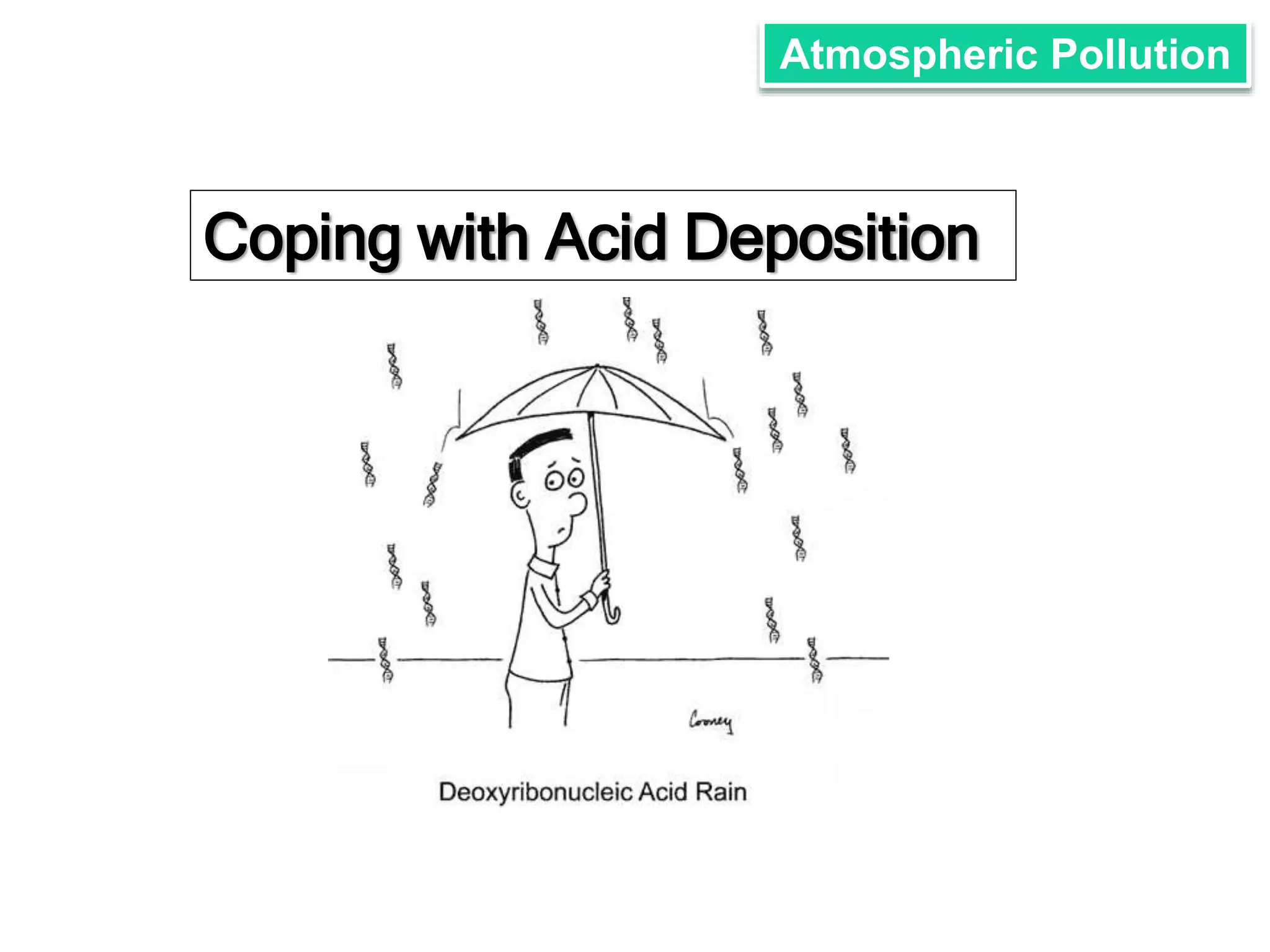 Atmospheric Pollution 
Coping with Acid Deposition 
 