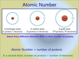 Atomic Number



                                                      Lithium atom



   Atoms from different elements differ in their number of protons.




       Atomic Number = number of protons
In a neutral atom, number of protons = number of electrons
 