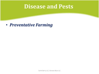 Disease and PestsPreventativeFarmingEarth Berry LLC, Harvest Blue LLC