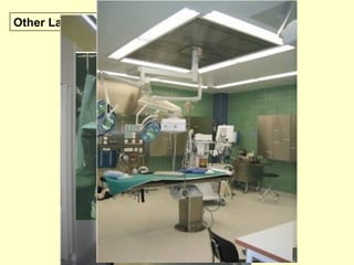 Other Laminar Flow Systems
 