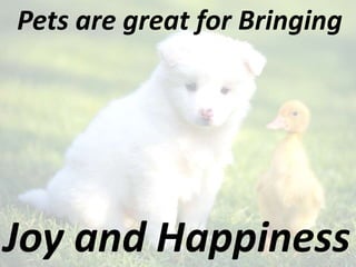 Pets are great for Bringing
Joy and Happiness
 