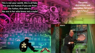 Archons
Matrix
The great
distraction and
deception for your
Spirit/Soul!
Wake up
This is not your world, this is all fake.
You are not Human if you are from
the Father, Him-who-is.
You are in her who knew not a male!
 