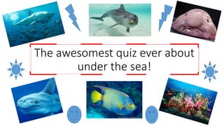 The awesomest quiz ever about
under the sea!
 