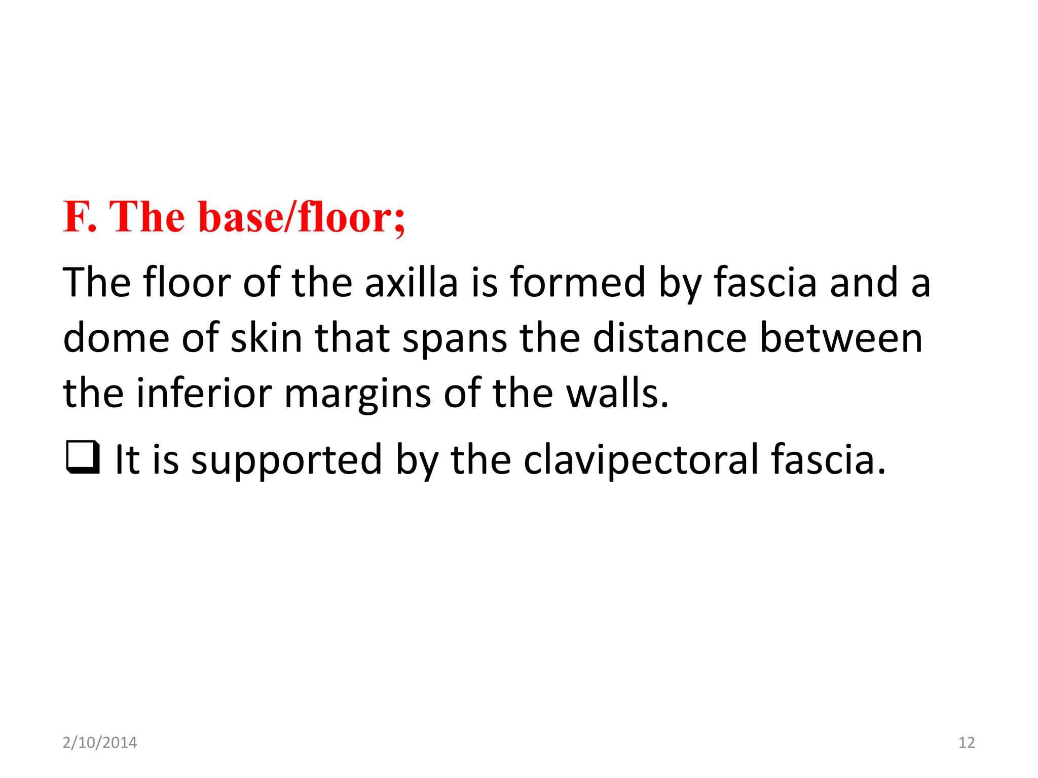 F. The base/floor;
The floor of the axilla is formed by fascia and a
dome of skin that spans the distance between
the inferior margins of the walls.
 It is supported by the clavipectoral fascia.

2/10/2014

12

 