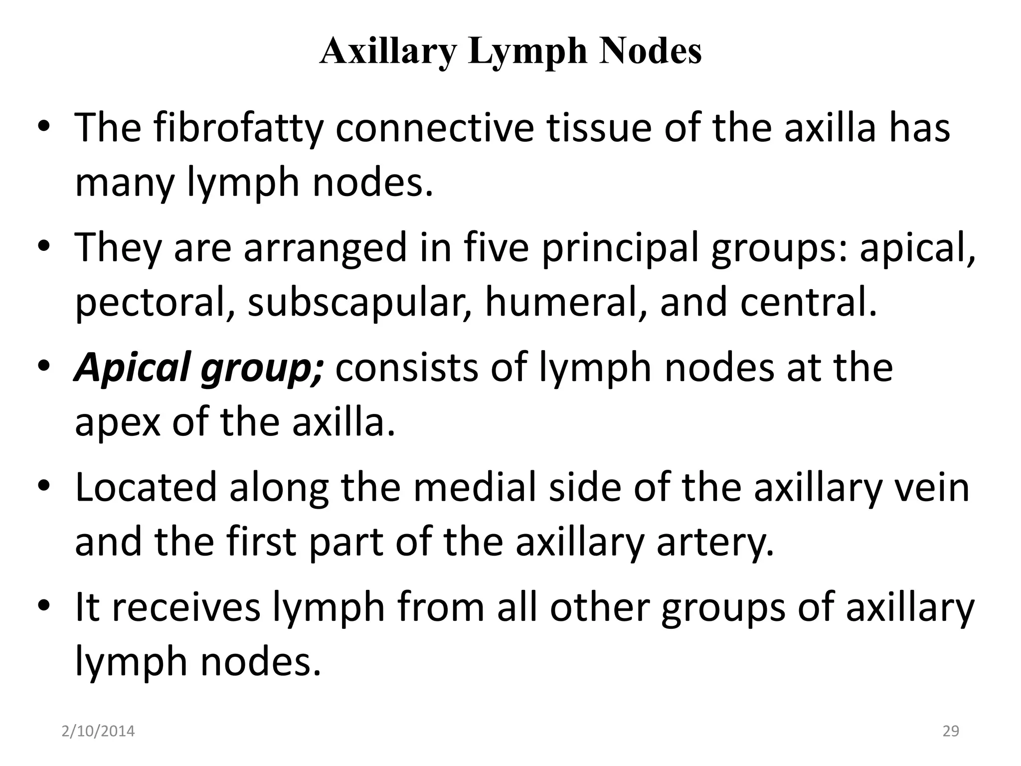 Axillary Lymph Nodes

• The fibrofatty connective tissue of the axilla has
many lymph nodes.
• They are arranged in five principal groups: apical,
pectoral, subscapular, humeral, and central.
• Apical group; consists of lymph nodes at the
apex of the axilla.
• Located along the medial side of the axillary vein
and the first part of the axillary artery.
• It receives lymph from all other groups of axillary
lymph nodes.
2/10/2014

29

 