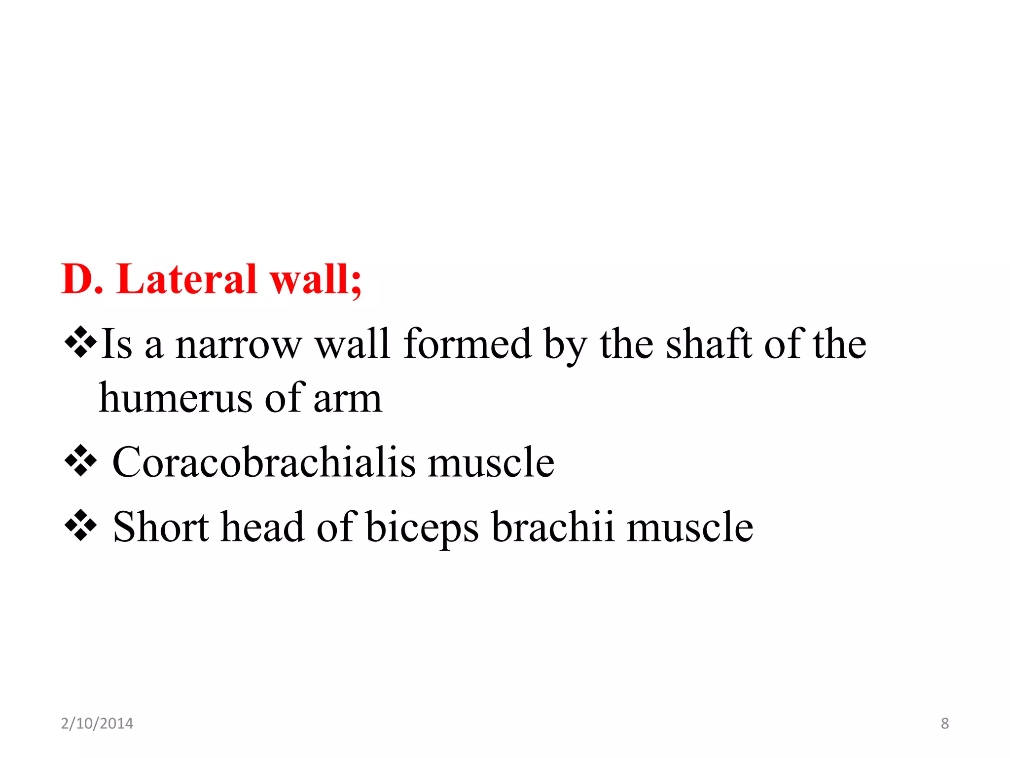 D. Lateral wall;
Is a narrow wall formed by the shaft of the
humerus of arm
 Coracobrachialis muscle
 Short head of biceps brachii muscle

2/10/2014

8

 