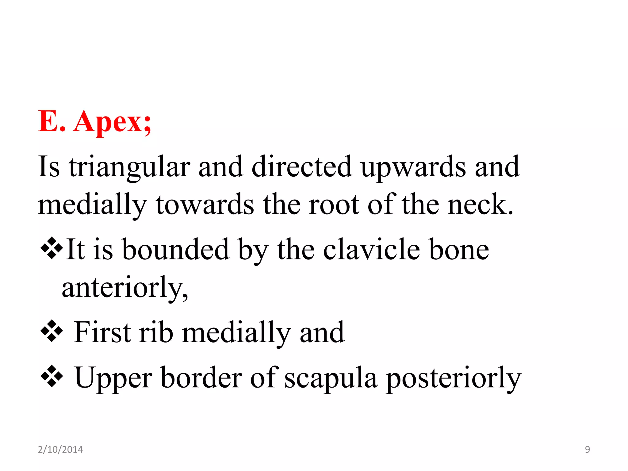 E. Apex;
Is triangular and directed upwards and
medially towards the root of the neck.
It is bounded by the clavicle bone
anteriorly,
 First rib medially and
 Upper border of scapula posteriorly
2/10/2014

9

 